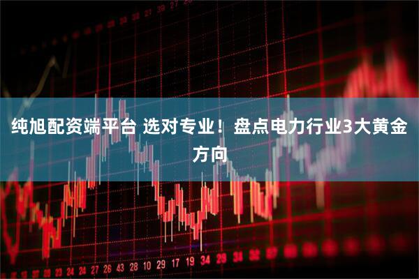 纯旭配资端平台 选对专业！盘点电力行业3大黄金方向