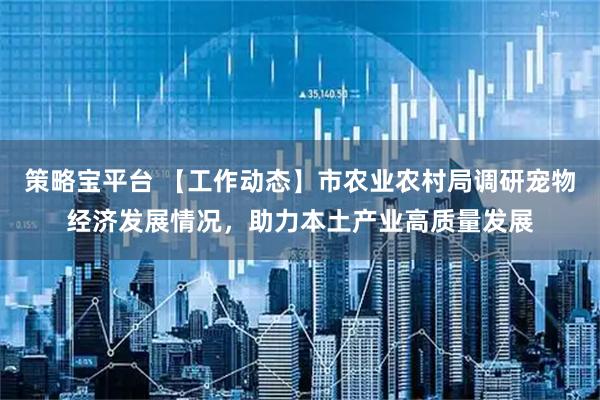 策略宝平台 【工作动态】市农业农村局调研宠物经济发展情况，助力本土产业高质量发展